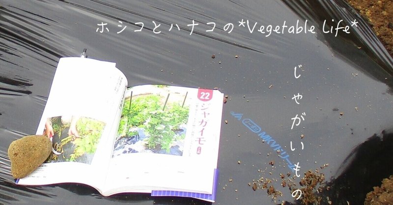 八ヶ岳*Vegetable garden life* 2021春2~じゃがいも1~