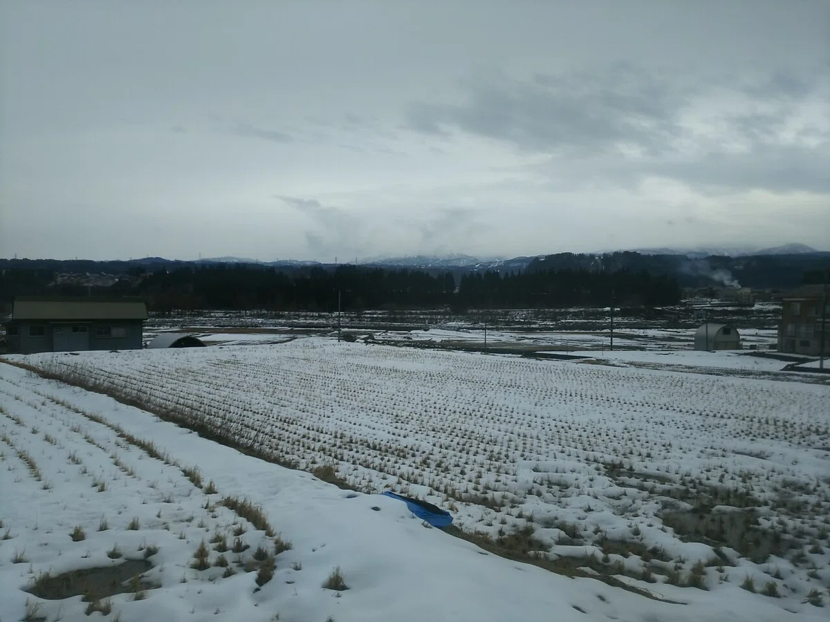 画像16