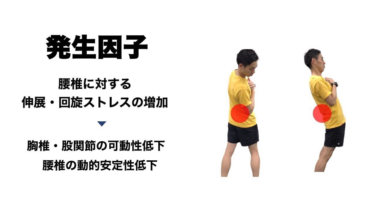 腰椎分離症 評価 L Fit Note