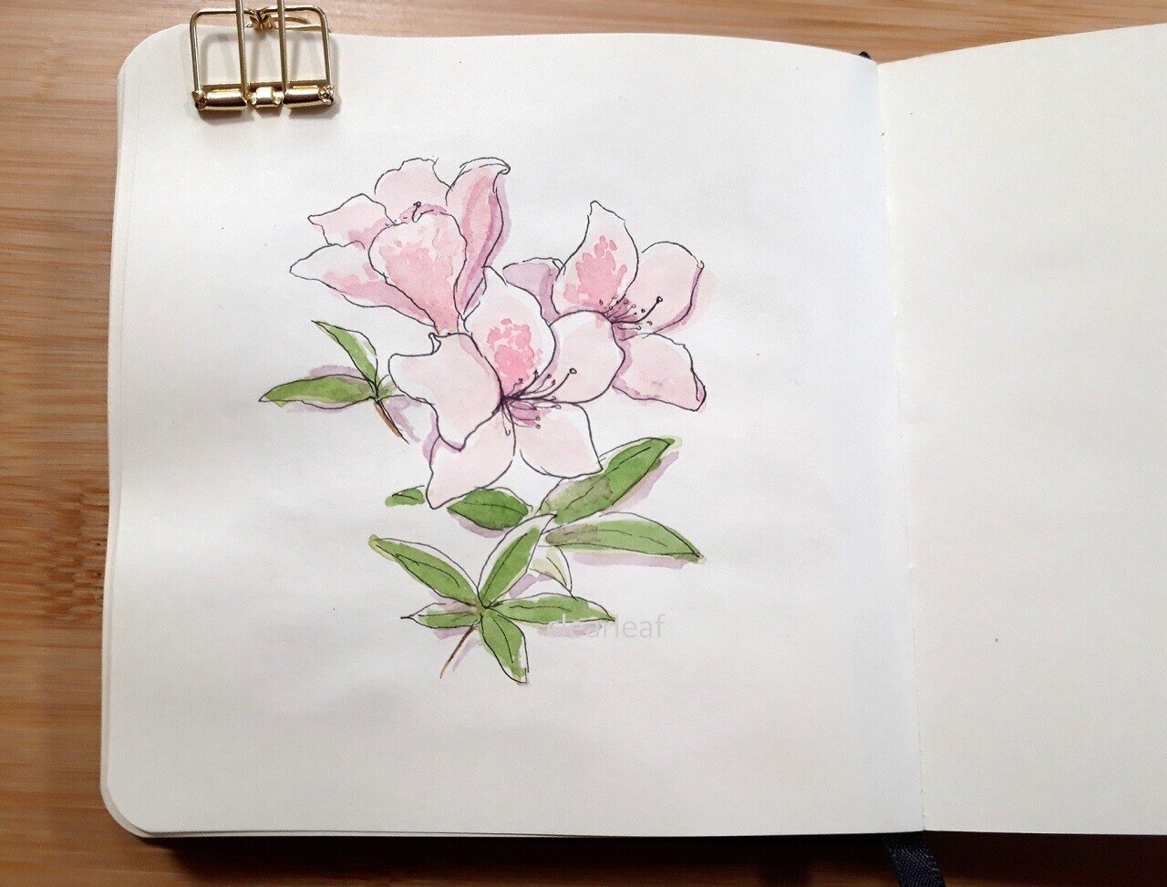 近くの公園で の新着タグ記事一覧 Note つくる つながる とどける