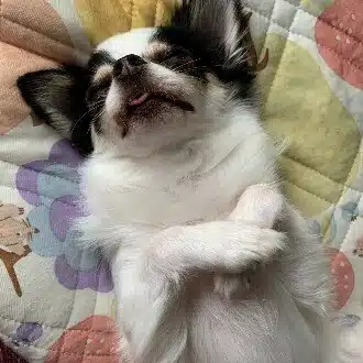 あーもんど