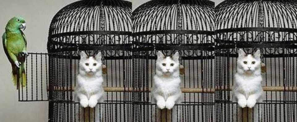 キングお台場湾岸お触りliveにて ジャニーズjr地下ドル化 にショックを受け た全ての方へ ファンオタンやジャニ所 Jr 緊急カイゼン提案 後編 一部有料ビジネス提案 アイドル気録ビジネスnote ジャニーズで気づき学ぶ 自分ブランド マーケティング Note