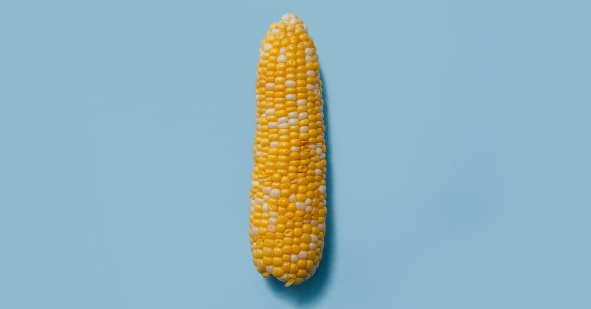 とうもろこしページ スイートコーンの「甘味」に関与する遺伝子🌽｜The plant