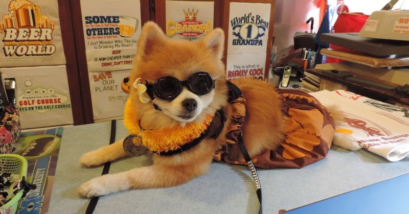 人流 と 注力 という新語は気持ち悪い 高田公理 note