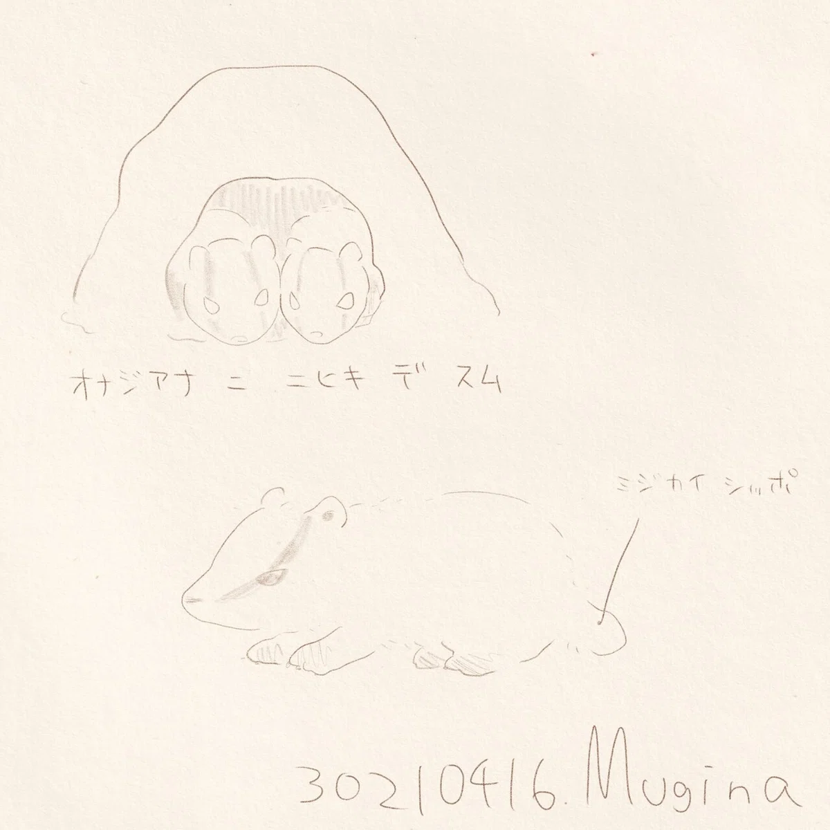 ムジナ生態