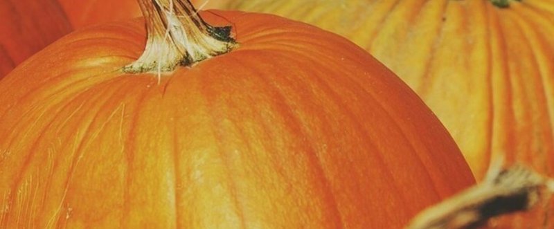 ＃かぼちゃのオレンジと緑で秋尽くし➡2017．10．18 ＃宮崎鈴子の写メ詩