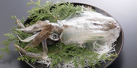 いかの王様 水イカのうにソース 肉厚コリコリの水イカに濃厚なうにのソースが旨い 野中 一英 博多の串揚げおやじ Note