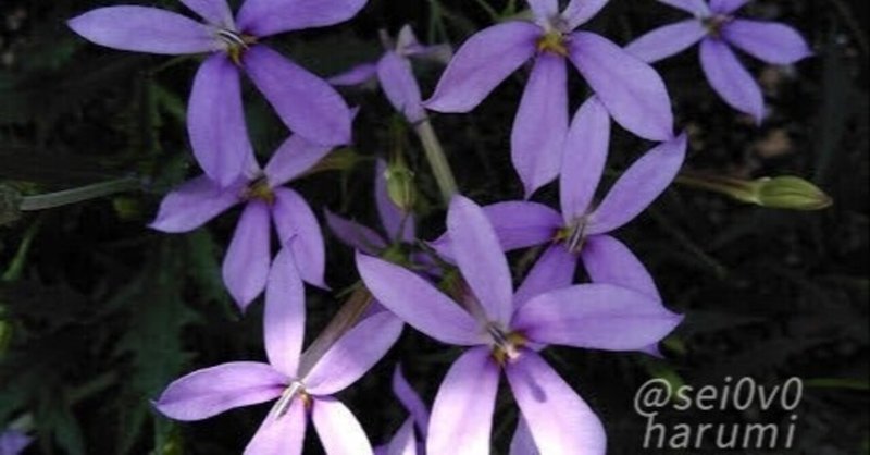 イソトマ セイとはるみの電子図鑑 Note