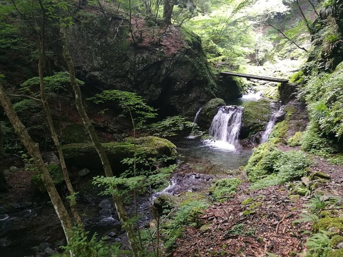 画像10