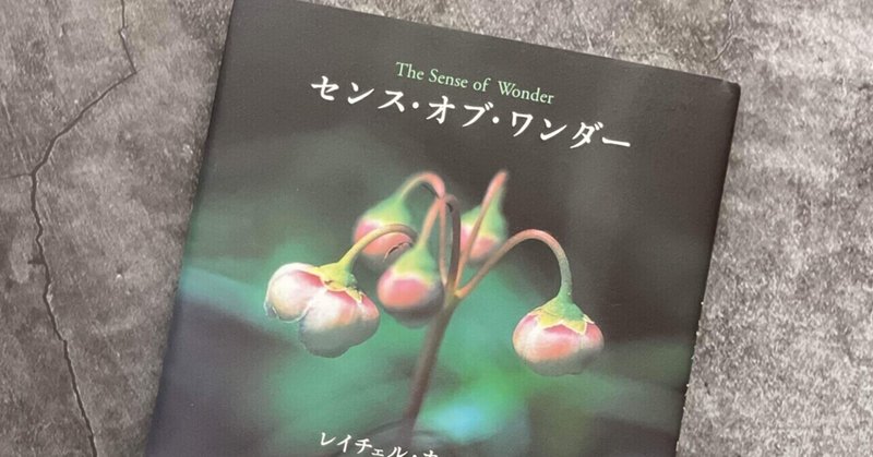 沈黙の春 の新着タグ記事一覧 Note つくる つながる とどける