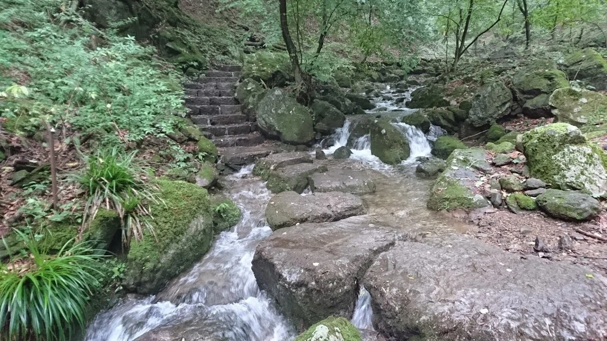 画像12