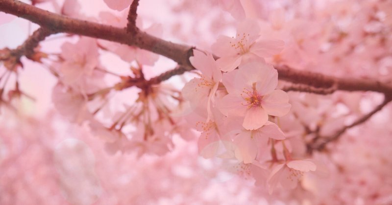 黒辺あゆみの21年のノート Note