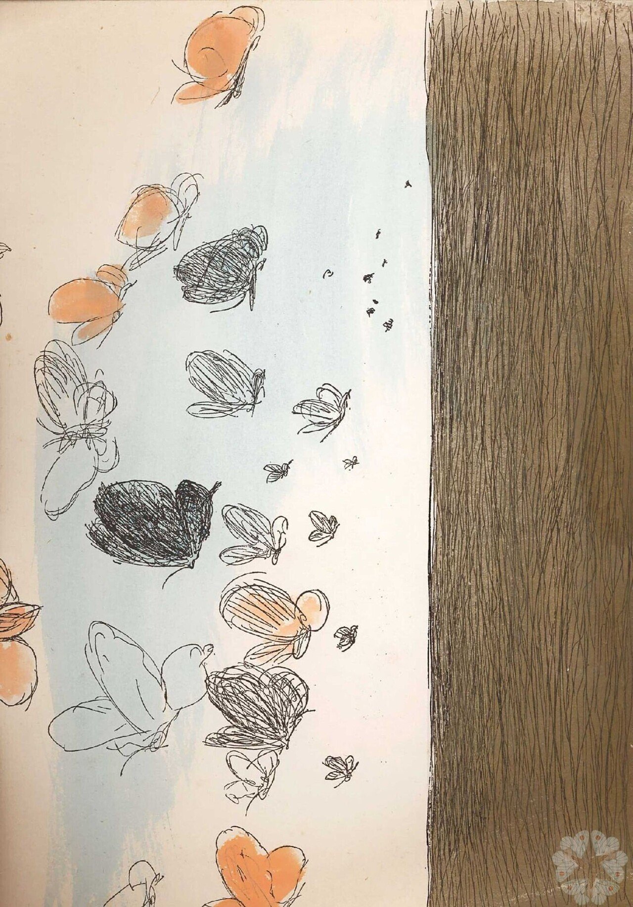 希少☆三岸好太郎筆彩素描集 蝶と貝殻 復刻版 北海道立三岸好太郎