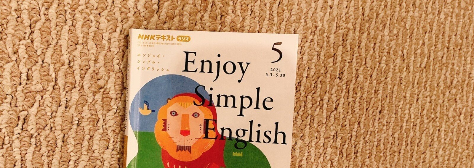 豪華 enjoy simple english(エンジョイシンプルイングリッシュ
