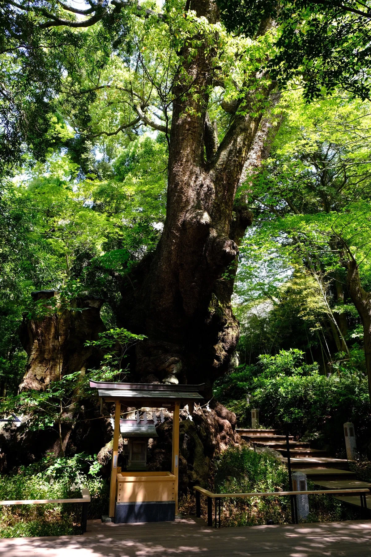 画像4
