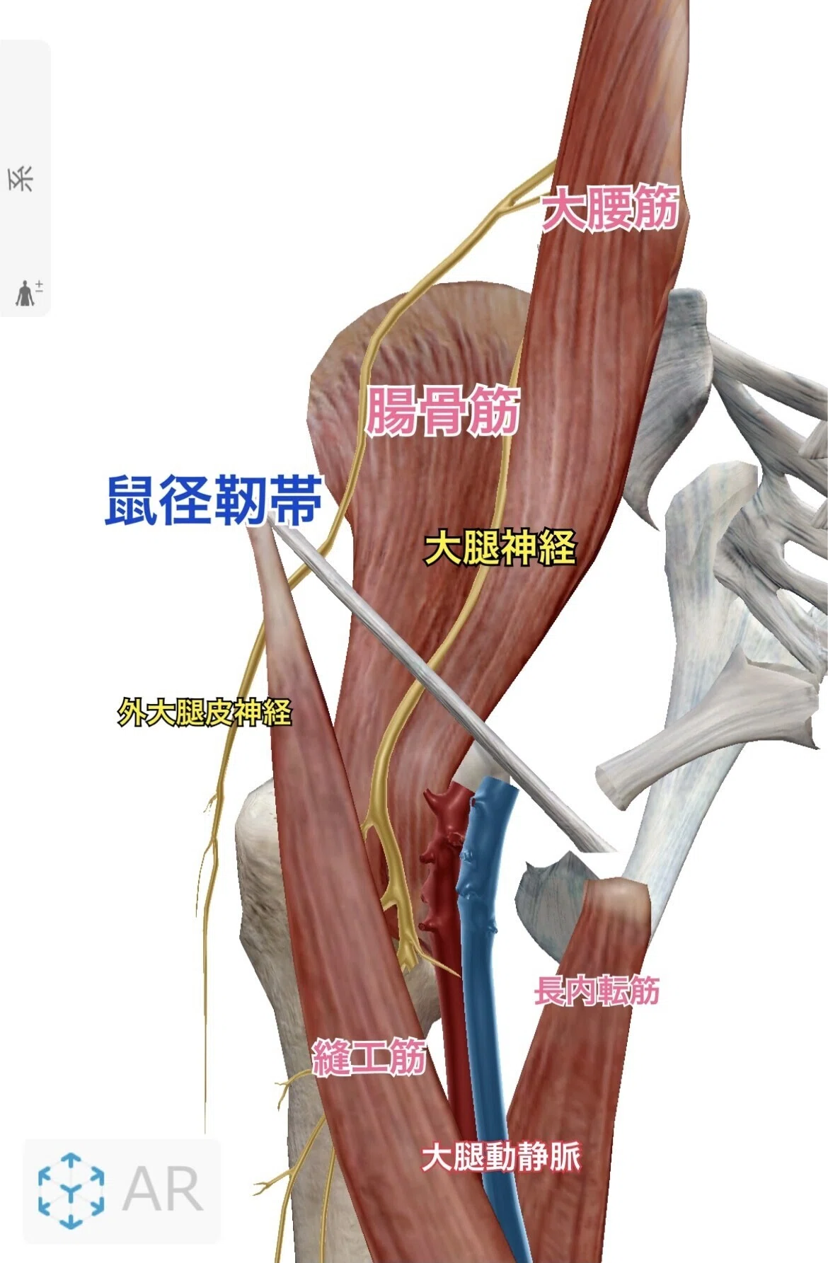 画像1