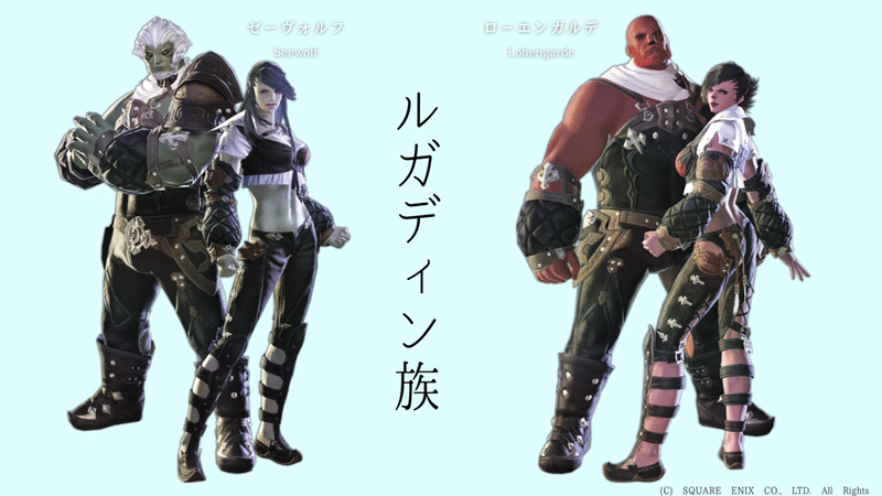 キャラメイクで選べる8つの種族 雪空ネコ Note キャラメイクで選べる8つの種族 雪空ネコ Note