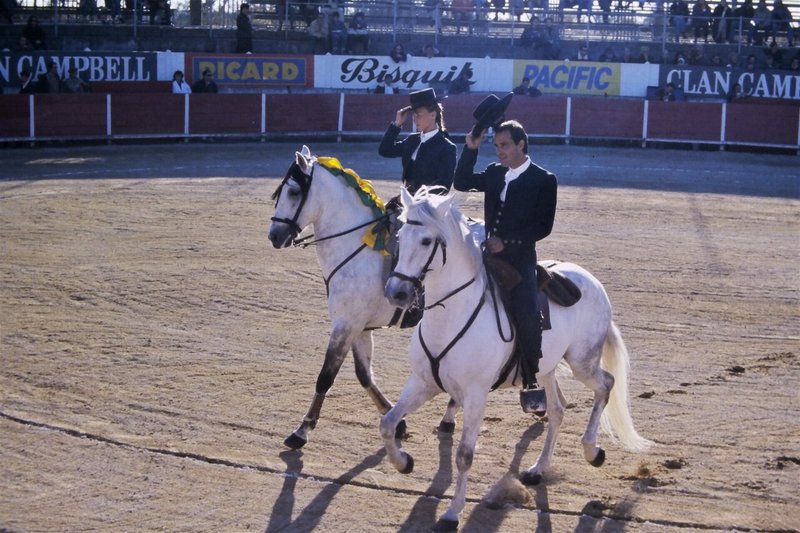 白い馬 Takeshi Matsuyama Note