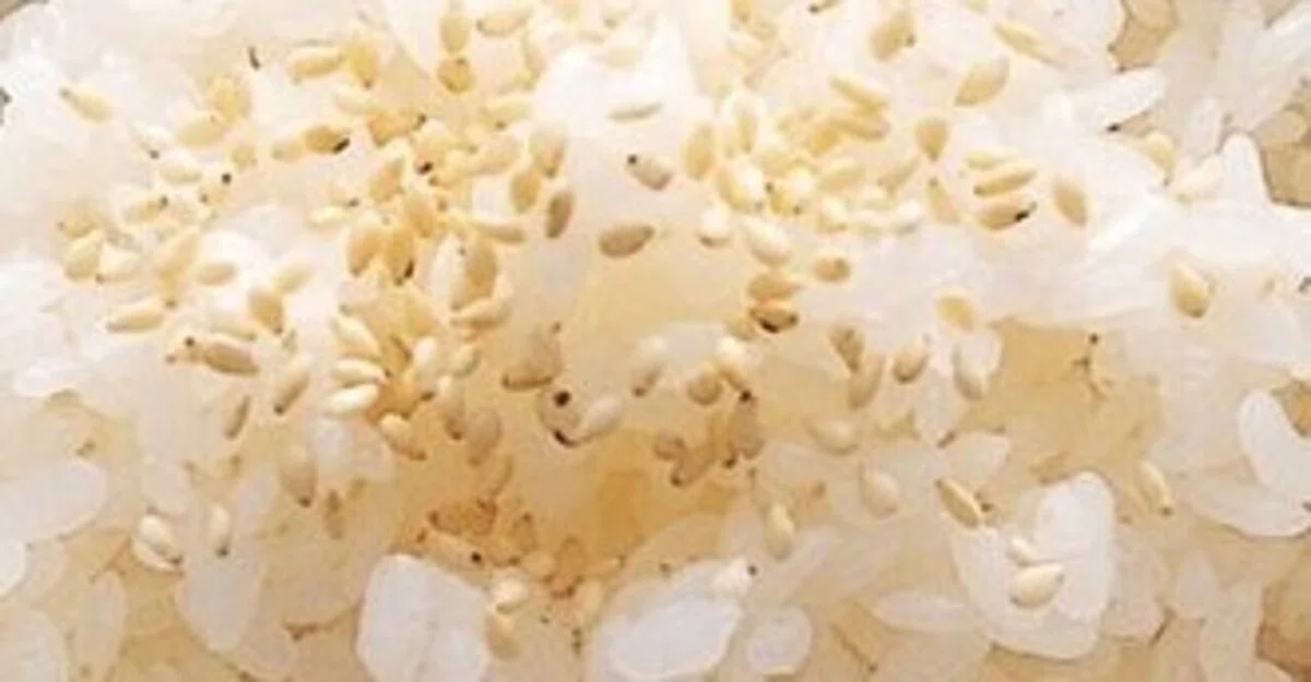 Vinegared Rice Cooked Together｜猫の生まれ変わり