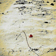 「命 ~青年編~」花本恵介様作