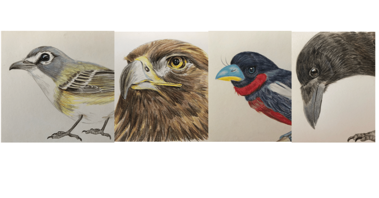 日本の鳥のイラスト アート作品 Amazon.co.jp: 竹内栖鳳 蹴合 F6号 高精彩工芸画 手彩補色 複製