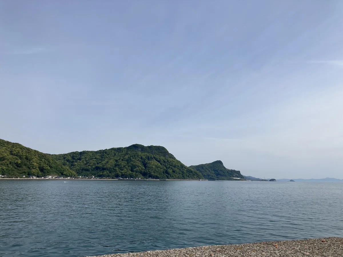 画像1