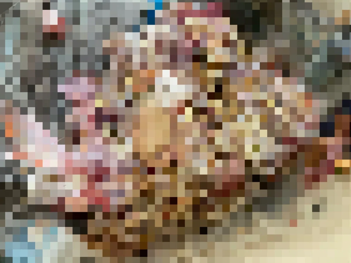 画像9