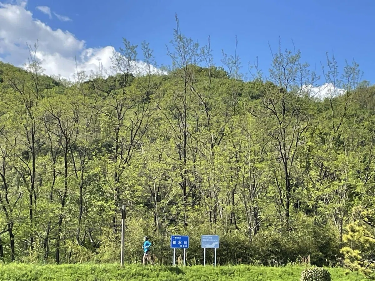 画像29