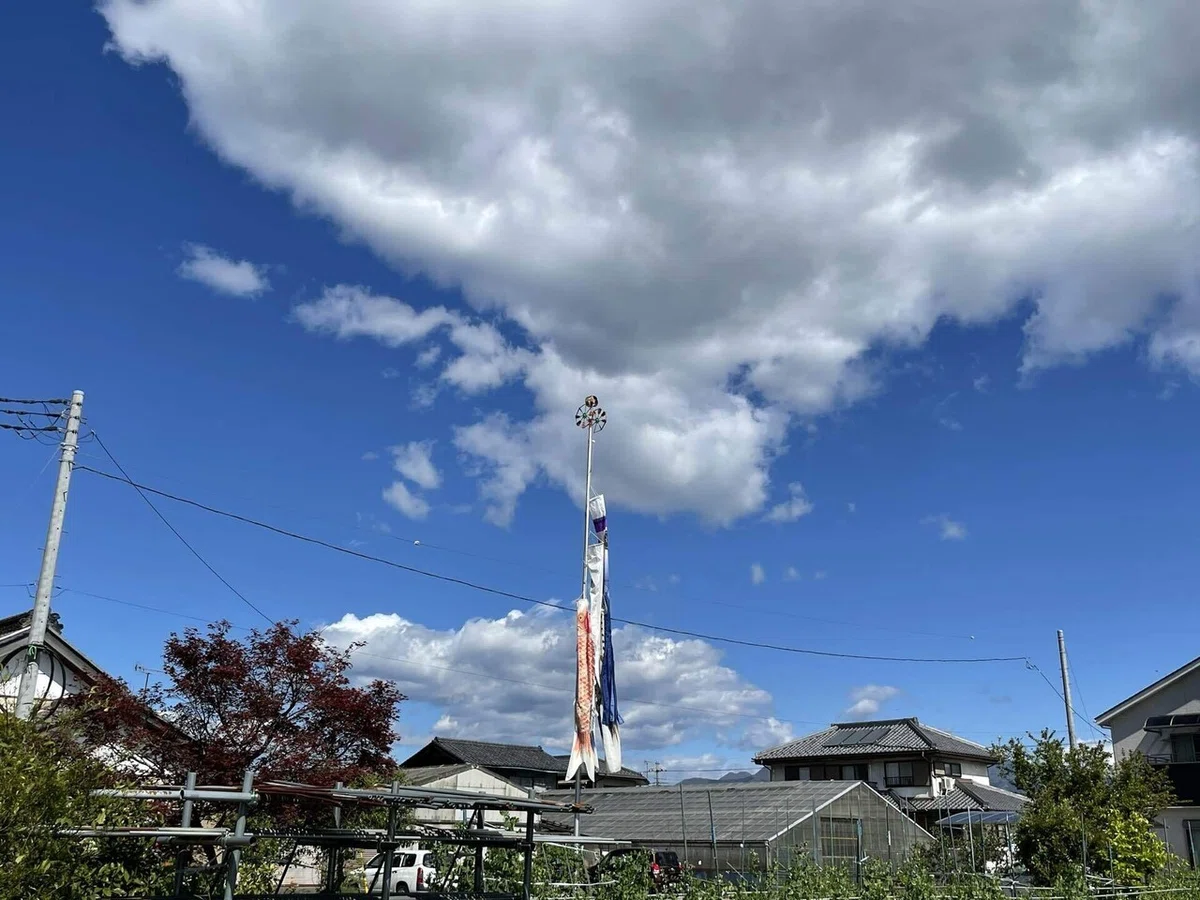 画像32