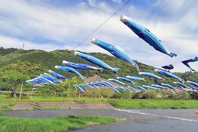 コイじゃない？高知黒潮町のかつおのぼり｜にしきかむろ