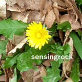 sensingrock
