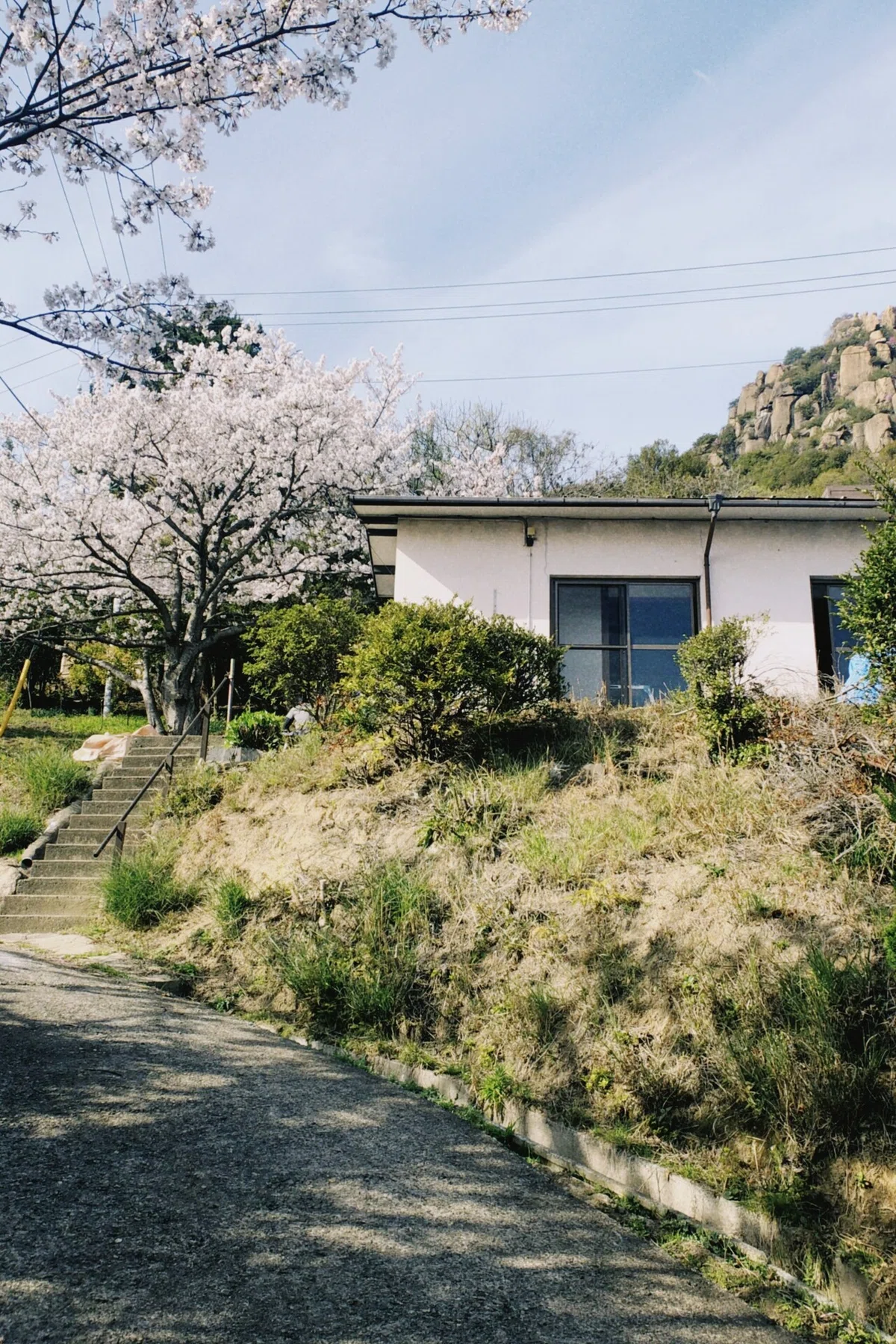 画像33