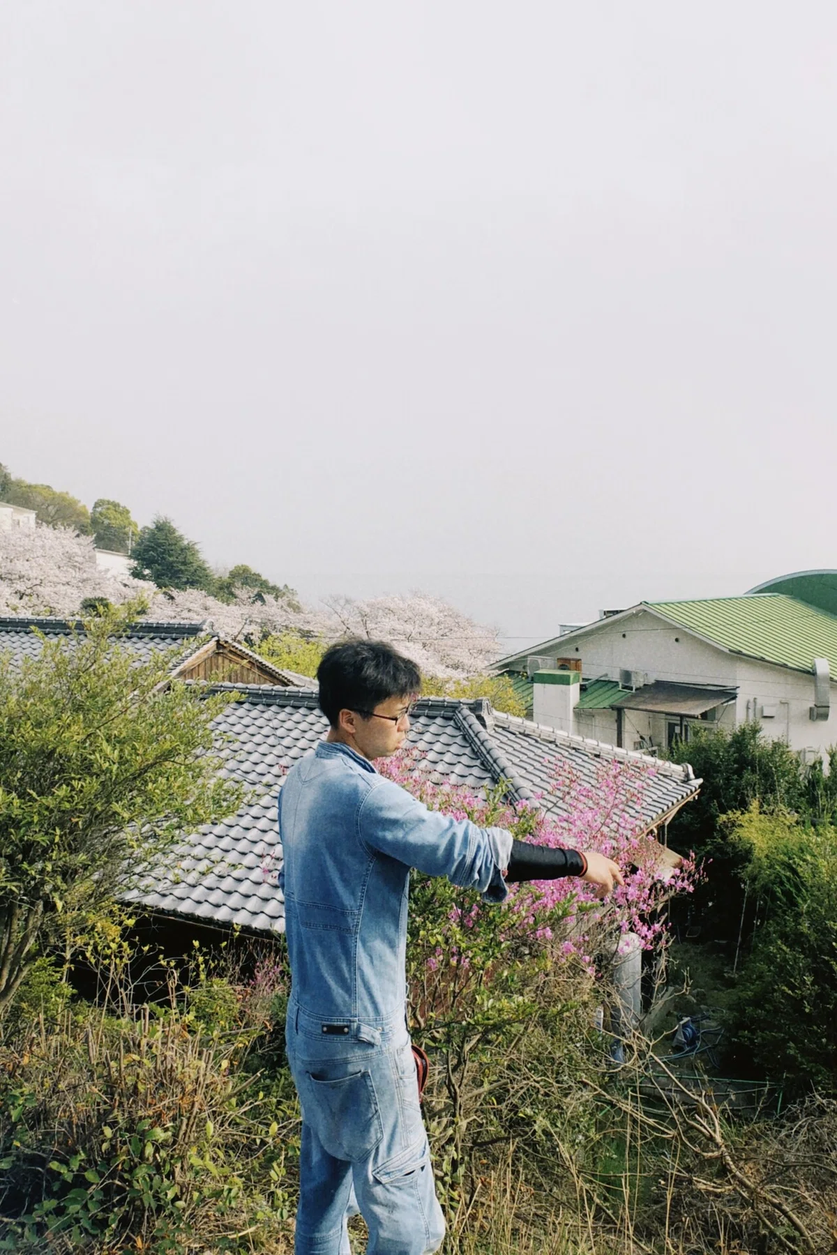 画像34