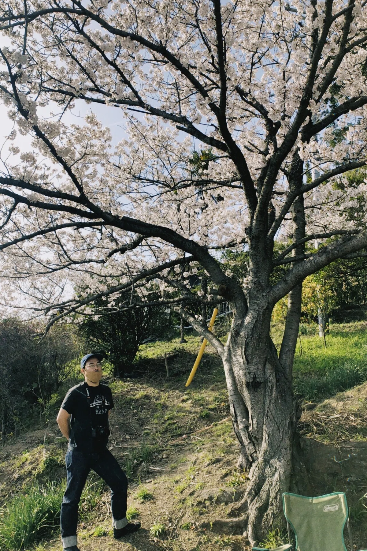 画像40