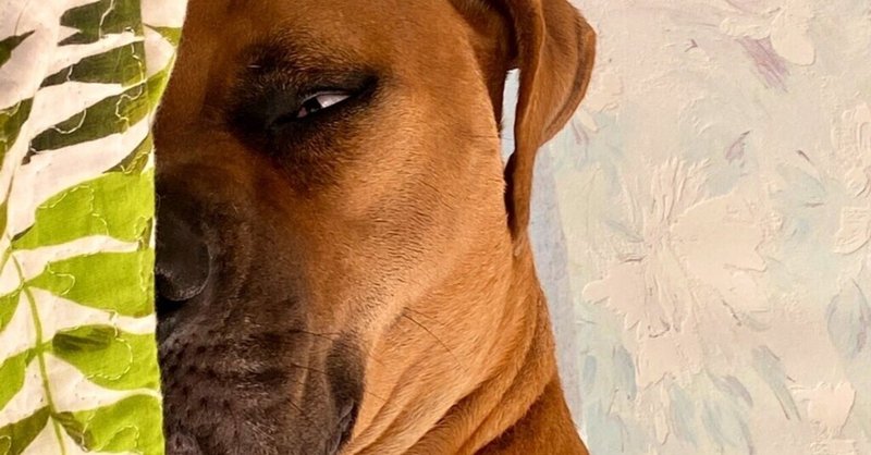 女 ひとり 家を買う ジョー Note