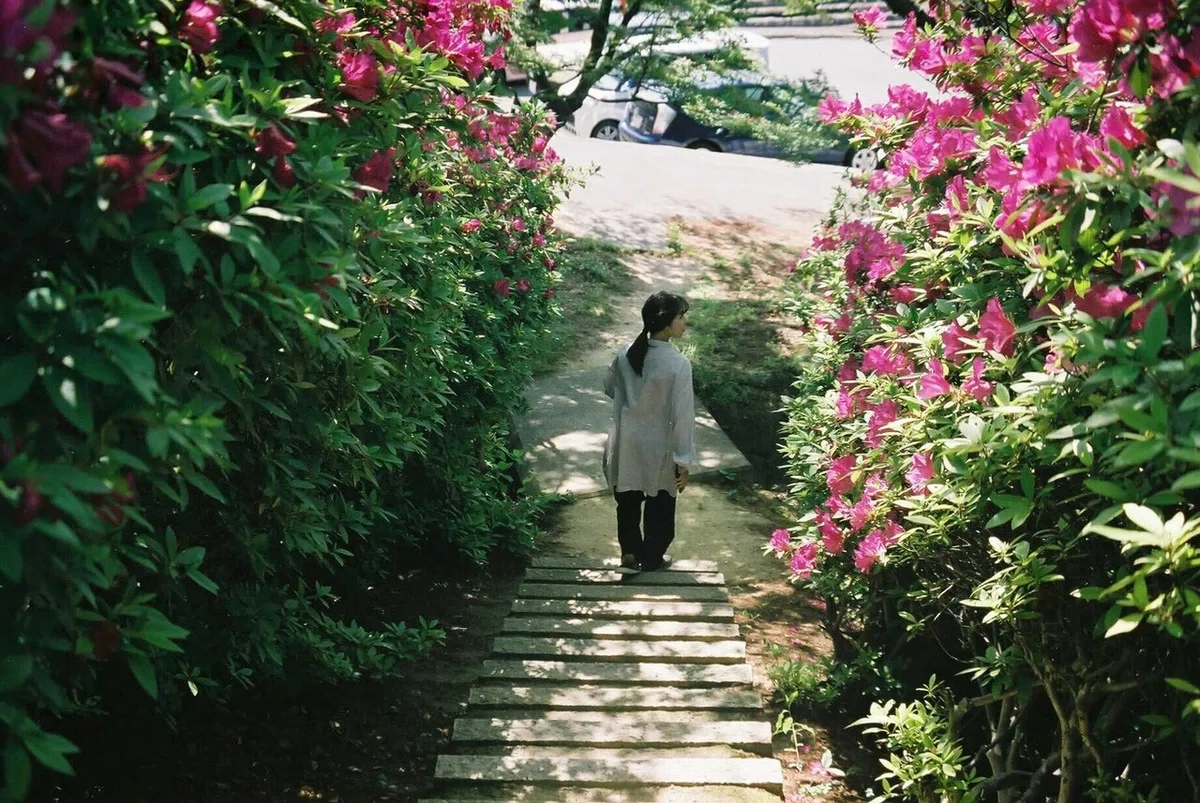 画像81