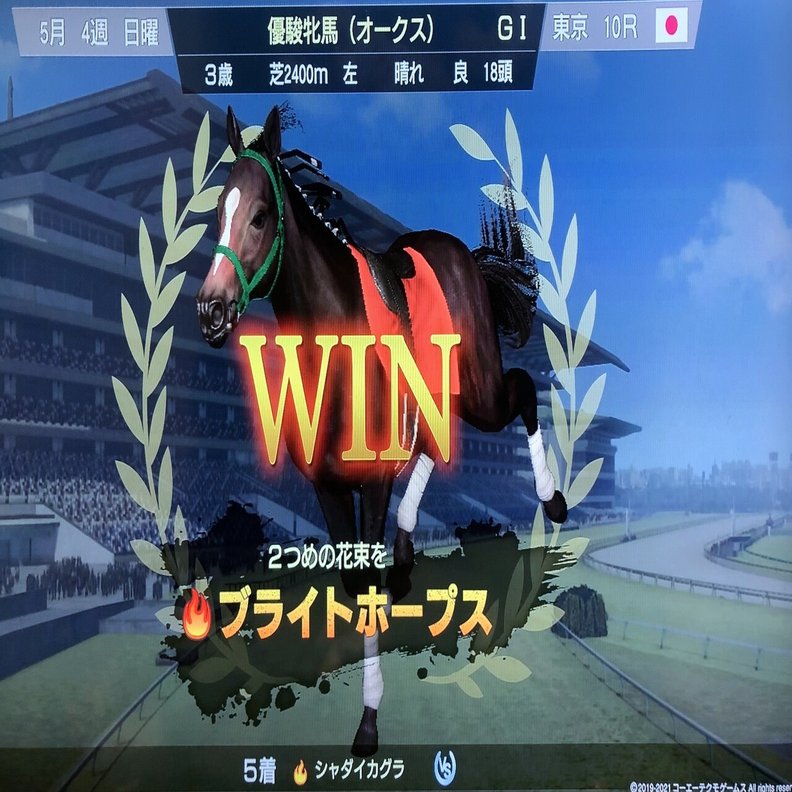 ウマを育てて写真を撮る 読む人 Note