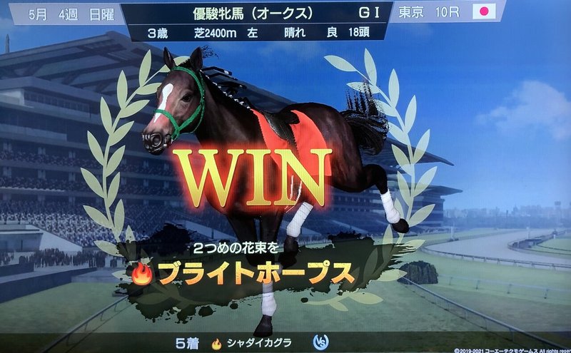 ウマを育てて写真を撮る 読む人 Note ウマを育てて写真を撮る 読む人 Note