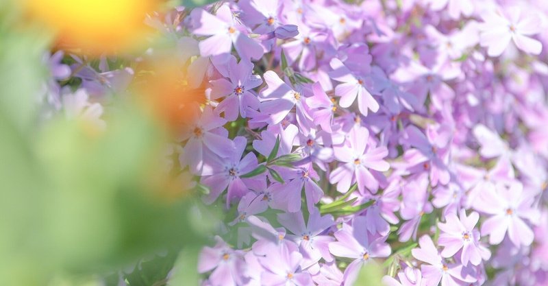 和訳 Start Of Something New High School Musical いろは Note