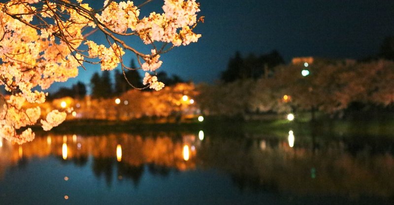 【過去ログ】高田城址公園の夜桜。2021.04.20