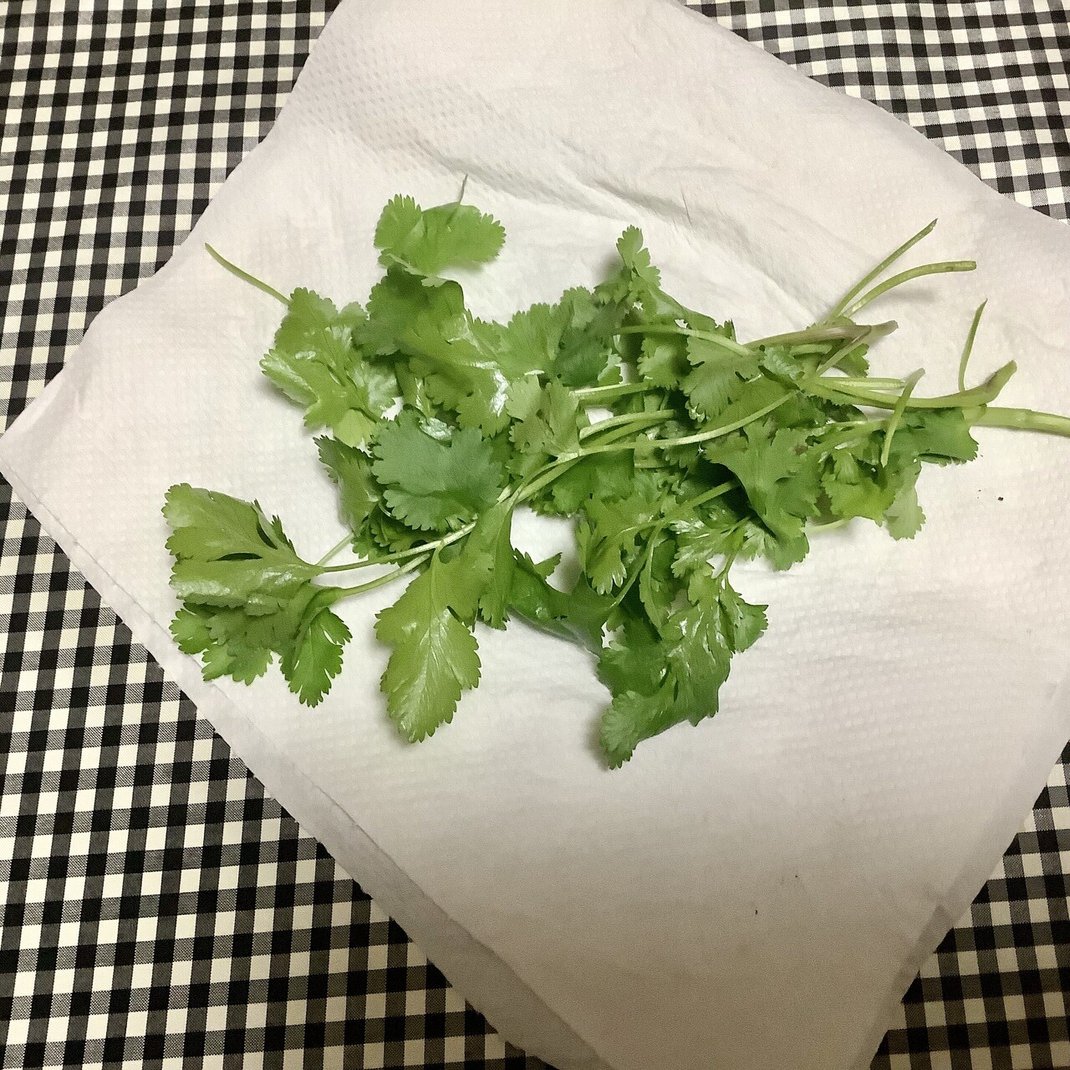 パクチーの料理方法 種から育てて収穫 川端タカミ いちごの花 Note