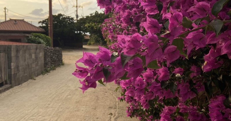 竹富島ひとり旅（ハプニングあり）🏝