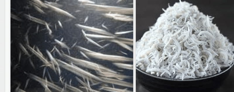 簡単ピザ2種 シラスとチャーシュー ノリノリ Note