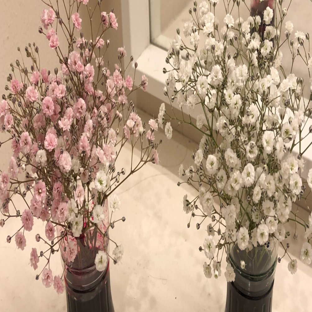 ハンドメイド かすみ草のドライフラワーの作り方 Sdgsオーガニックショップ 栞 Siori 大阪 梅田のヴィーガンフードやコスメ サプリのお店 Note