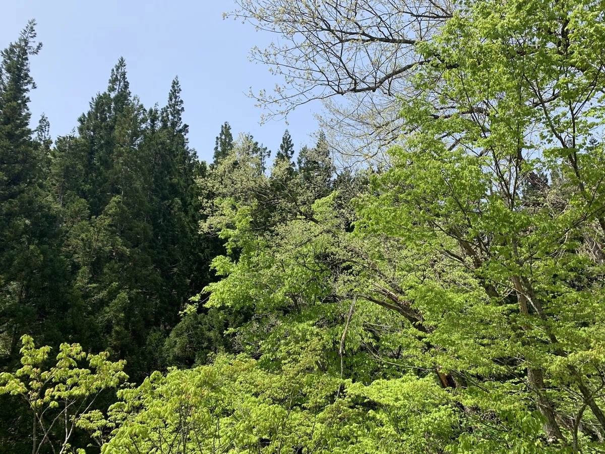 画像10