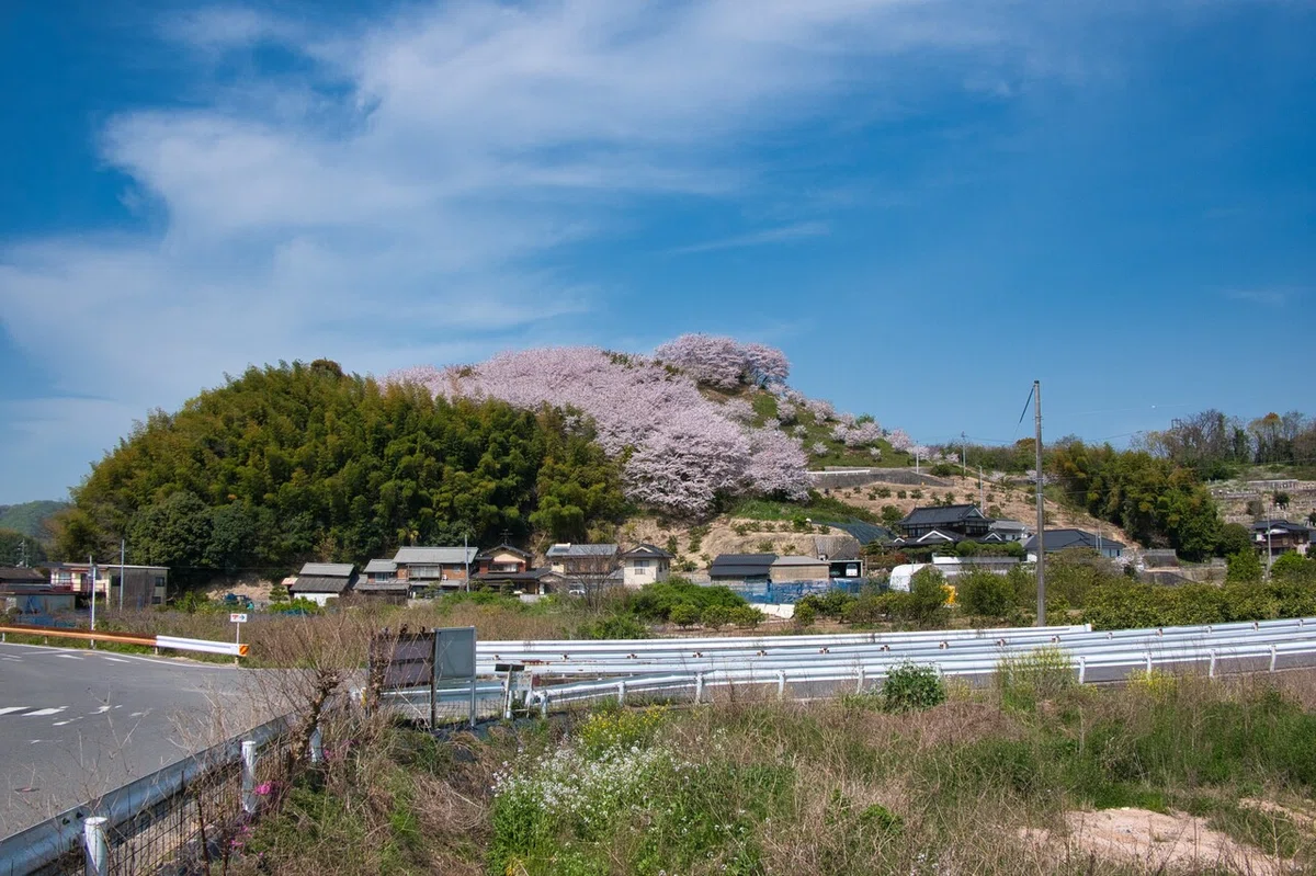 画像6