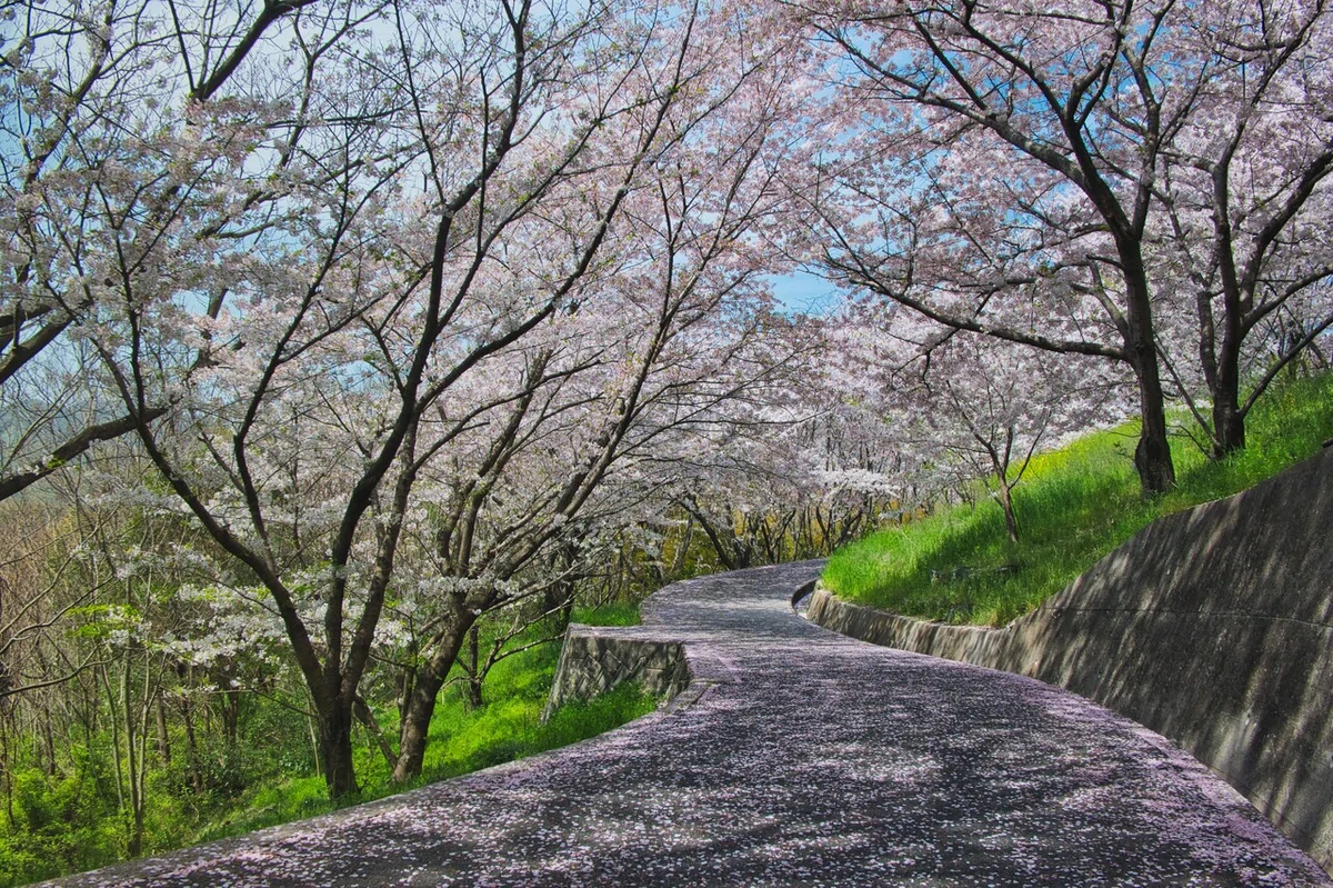 画像9