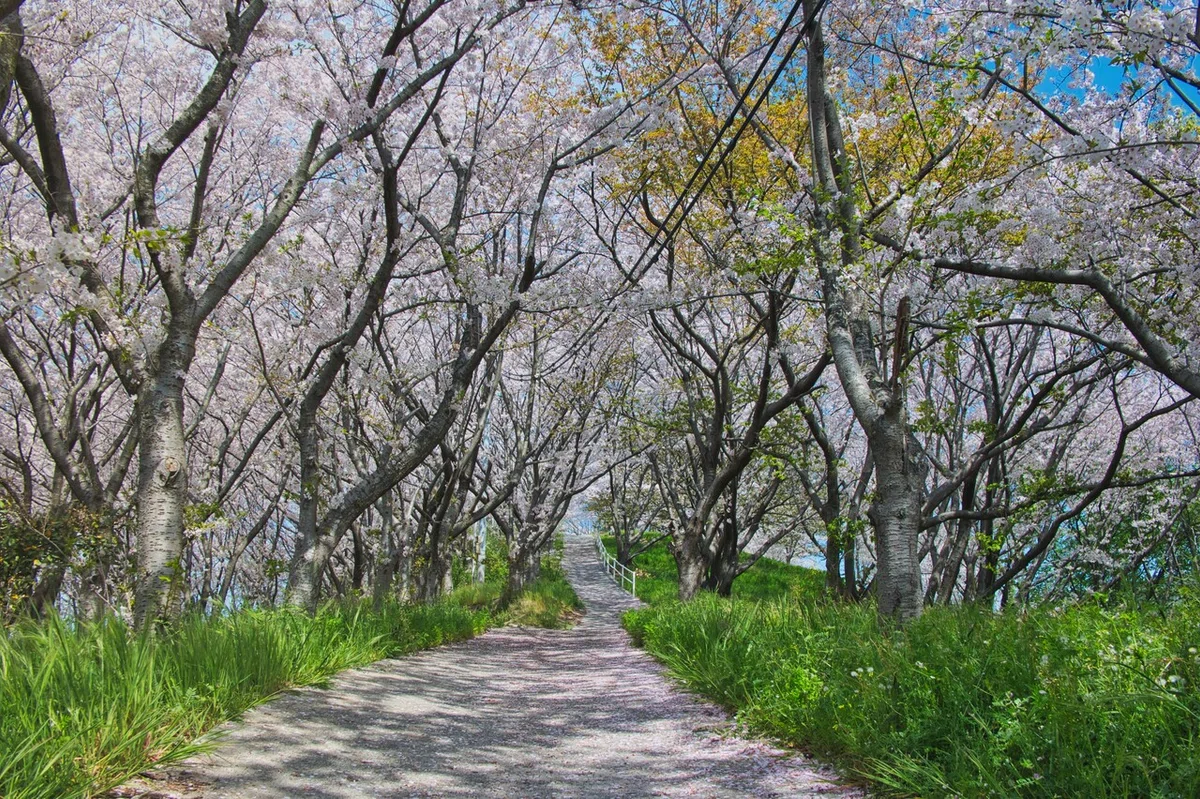 画像11