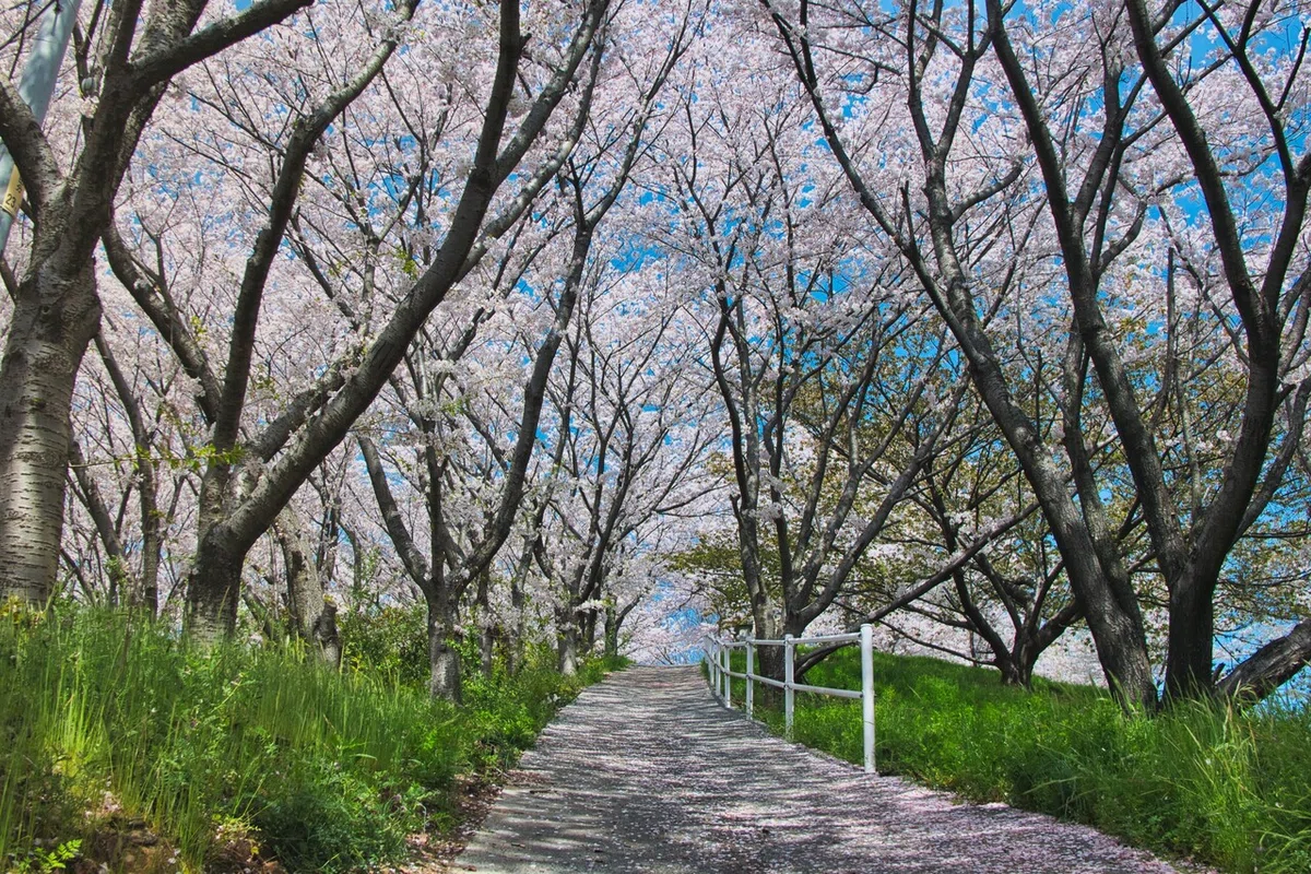 画像13