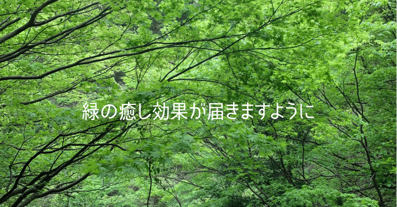 植物の癒し効果と新緑の写真 Chiyo Note 植物の癒し効果と新緑の写真 Chiyo Note